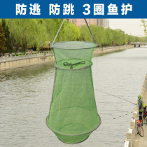 New simple fish and shrimp basket thickened folding small fish protective gear crab lobster anti-jump net bag fishing gear anti-hanging and quick-drying