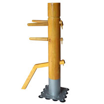 csk Zhongcheng Wang suction disc wooden pile Wing Chun wooden pile Wing Chun wooden pile