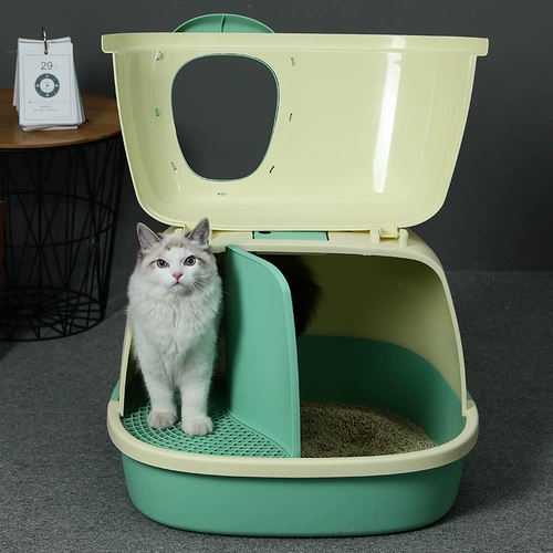 Длинноканальный кошачий коридовый коридор -тип туалетный туалетный туалетный туалетный туалетный туалетный туалетный туалетный