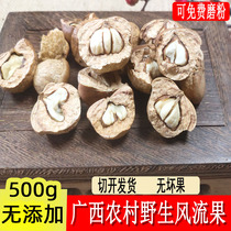 Guangxi Figure 500g Wine of the wild turtle of the wind fruit