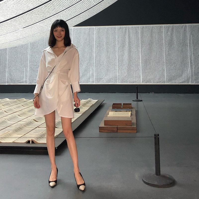 ROEY WANG dress women's summer 2020 new temperament chiffon shirt skirt waist minimalist cold wind skirt