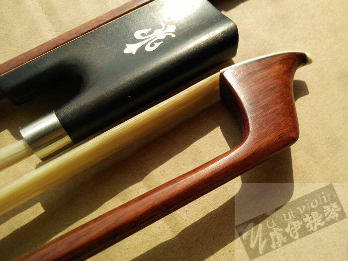 Upscale horse head harmonica Suzuki with a professional bow in the bow of the bow.