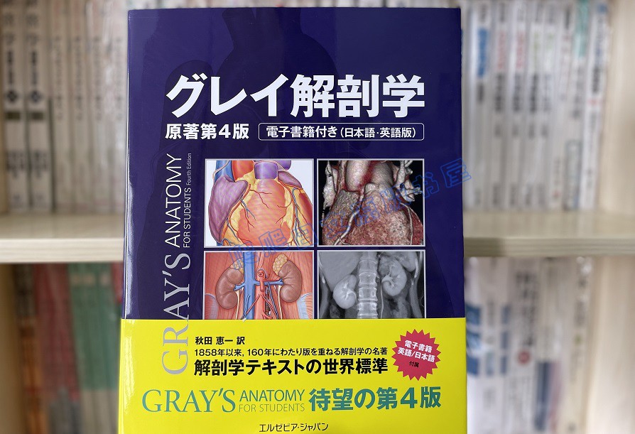 全款グレイ解剖学原著第4版解剖医学书籍大型本日文原版