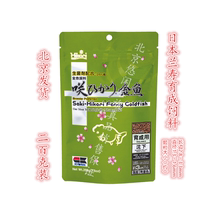 Japan gao gou li shen yang Sakura goldfish ranchu day life gilded bred se yang increasing body of head enriched feed