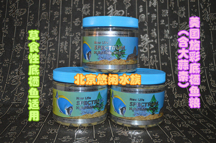 American sch Colorful Grass Eating Benthic Fish Beard Labyrinth Zebra feed with allicin to prevent enteritis abdominal water