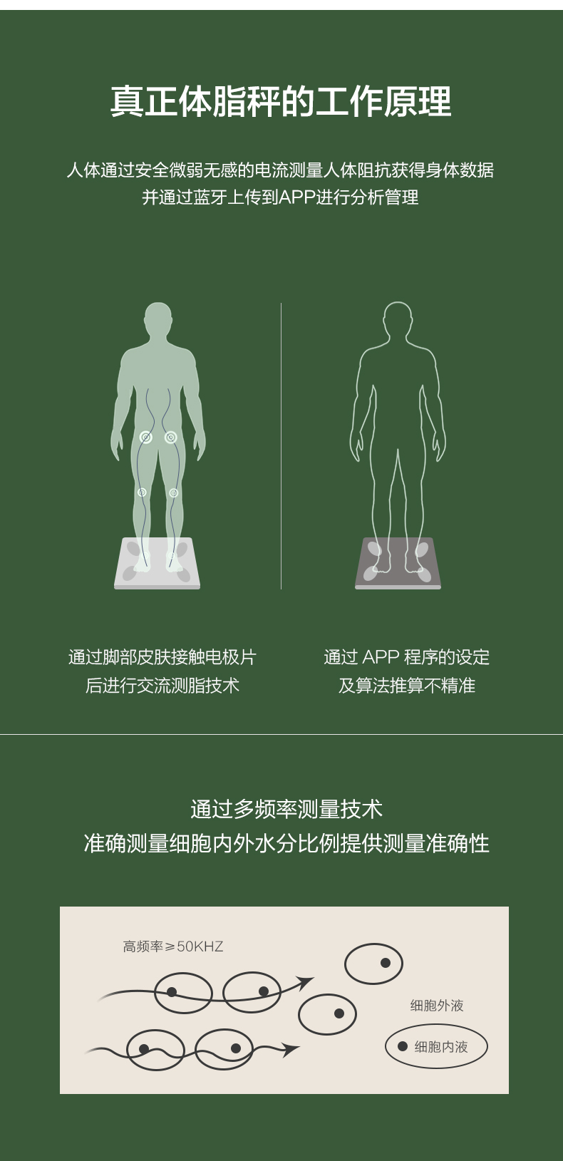 华为HiLink生态产品 香山 智能体脂秤 图13