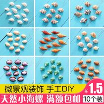  Natural small shell conch fleshy micro-landscape ornaments Glass wishing bottle Kindergarten handmade diy material decoration