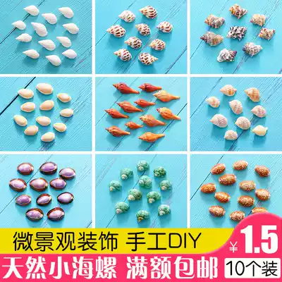 Natural small shell conch meat micro landscape ornaments glass wishing bottle kindergarten handmade diy material decoration