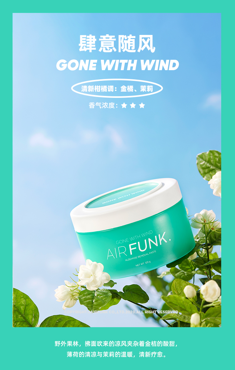 Air funk 甲醛空气净化剂 120g*3罐装 图7