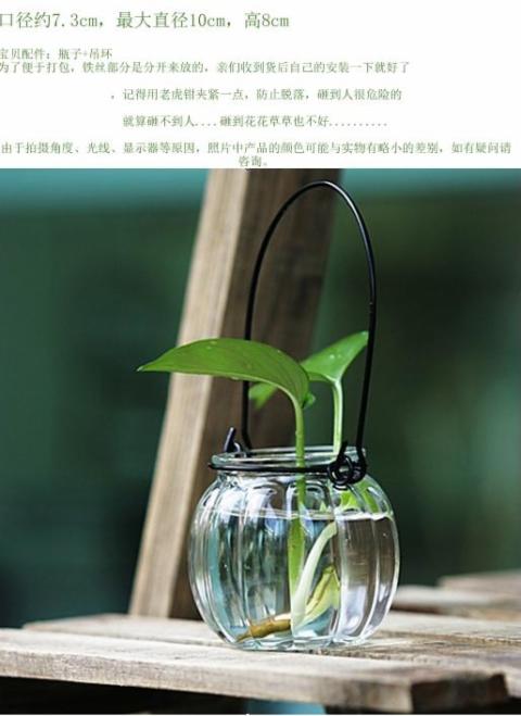 Bình thủy tinh, chai thực vật, bình thủy canh, bình hoa, bình hòa tan hoa, chai bí ngô, gói vỡ, bồi thường - Vase / Bồn hoa & Kệ mua chậu trồng cây