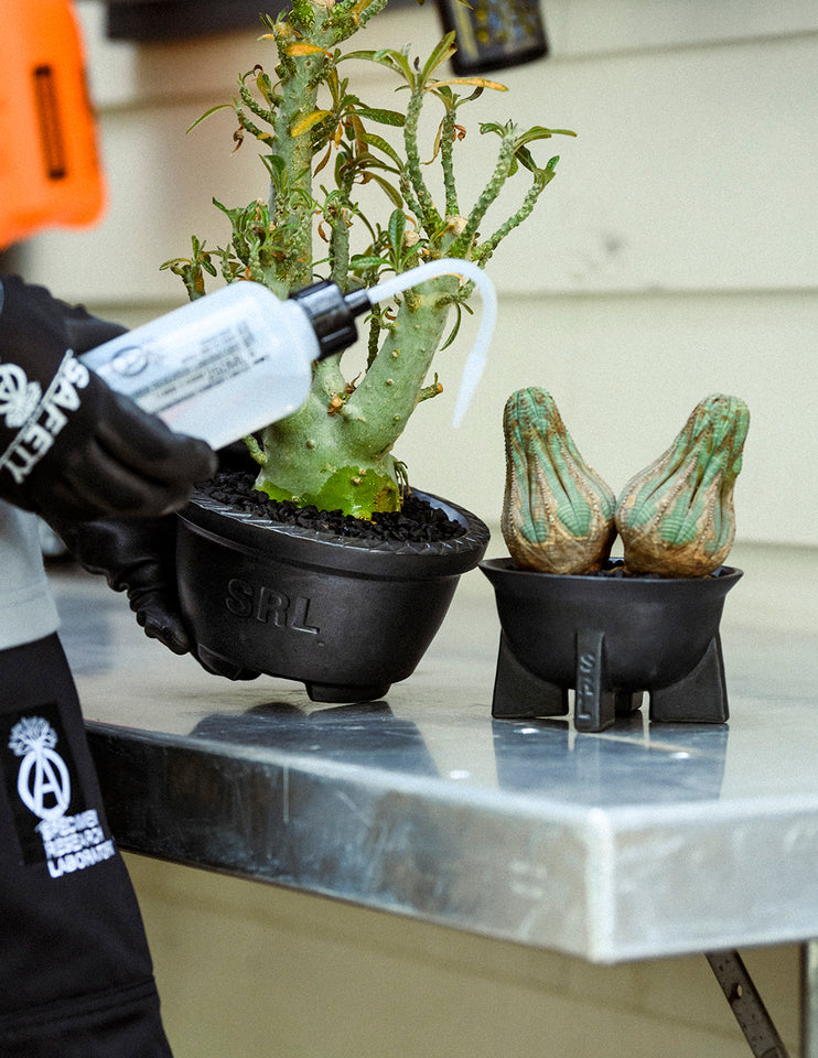 【新品未使用】NEIGHBORHOOD SRL.THUNDER/CE-POT neighborhood SRL . THUNDER / CE-POT