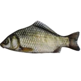 Douyin такая же умная рыбная ручка, корейская креативная морская рыба персонализированная сома студенческие канцелярские канцелярские товары Сумка для рыбной ручки соленая рыба