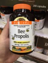 Spot Canada HolistaBee Propolis Natural Propolis Soft Capsules 200 capsules