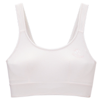 Admiration girl bra junior high school student big girl development underwear A type two stage 3A antibacterial breathing cup) milk leather clothing