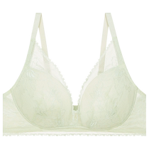 Admiration Underwear Womens Spring and Summer Light and Breathable Wire-Free Large Breasts Show Small Sexy Lace Bra AM177261