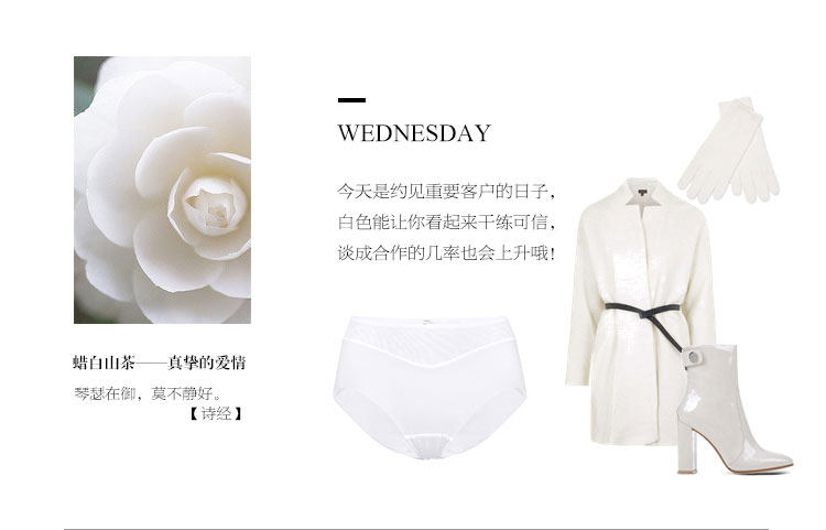 Slip jeunesse AM22100 - Ref 667178 Image 16