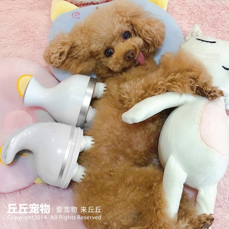Qiu Qiu Pet-Net red same eight-claw pet electric massager charging automatic head massager kneading treasure