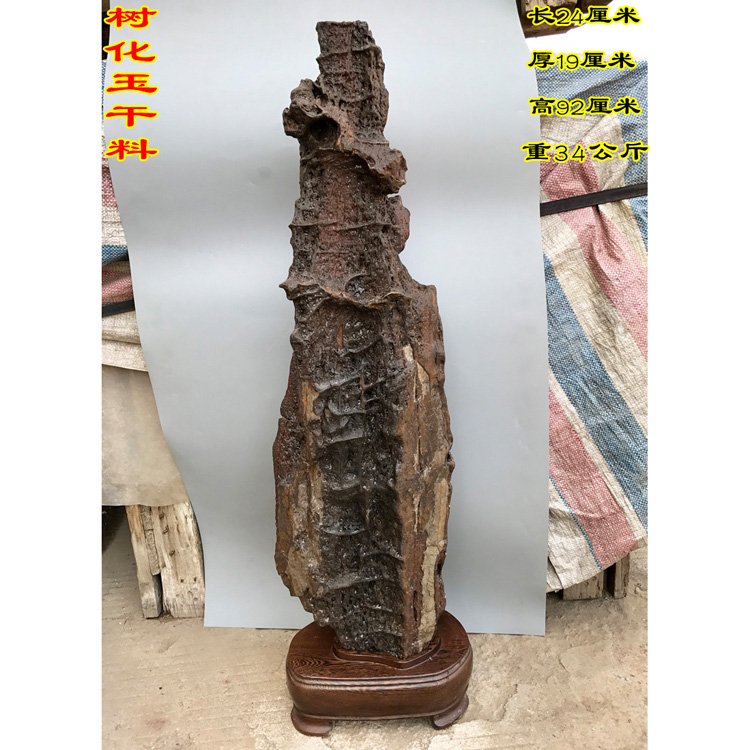 Boutique Saphenization Jade Dry Stock Raw Stone Pendulum Pieces Wood Fossil Silicalized Wood Specimens Plant Fossil natural chStone Mountain Stone Head