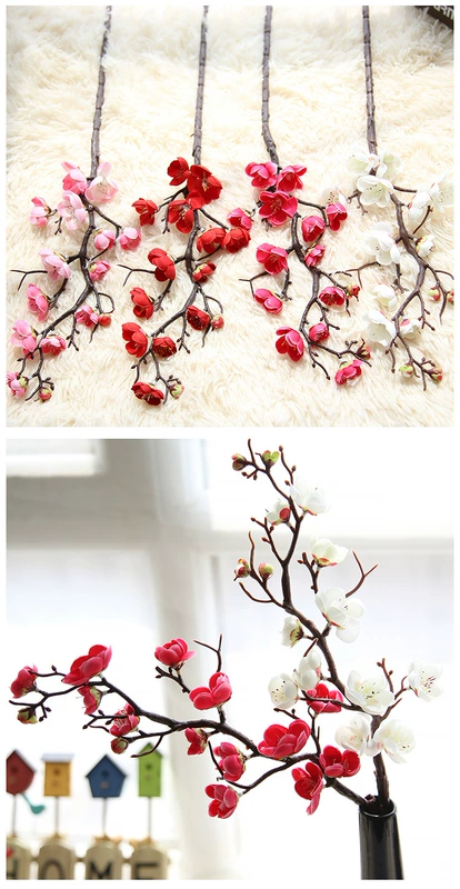 Hoa Dream Valley Plum Blossom Mô phỏng đơn Hoa Mô phỏng chùm tia duy nhất Nhà máy Trang trí Trang trí - Hoa nhân tạo / Cây / Trái cây