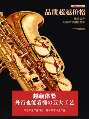 Sachs NEP alto saxophone instruments adult E-drop alto saxophone wind pipe beginner