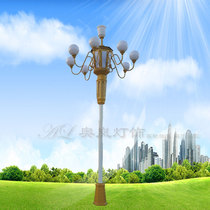 Chinese lamp 5 m 6 8 m 9 Fire street lamp outdoor view lamp High pole square lamp factory gate multi-head lamp