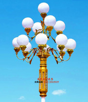 13 Head of China Light LED Street light View lamp Square lamp High pole lamp Outdoor light Yulan Light Neighborhood Scenic Area Park