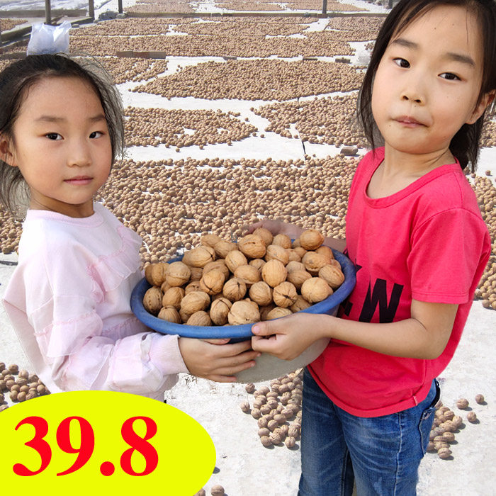 2021 new goods Pregnant women snacks Xinjiang Aksuwen 185 paper skin walnut 500gx2 original flavor raw thin shell