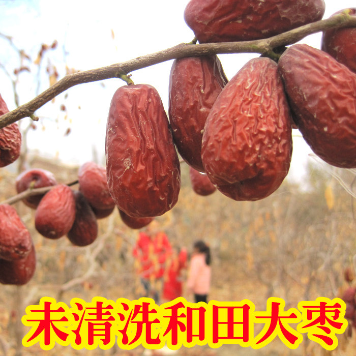 2020 New goods farmers grow their own Xinjiang specialty Hetian jujube jujube uncleaned unprocessed Junjube 500g