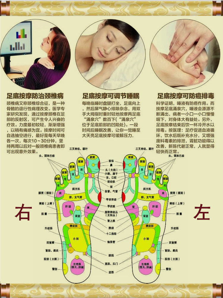 Semelles absorbantes - Ref 1072788 Image 7