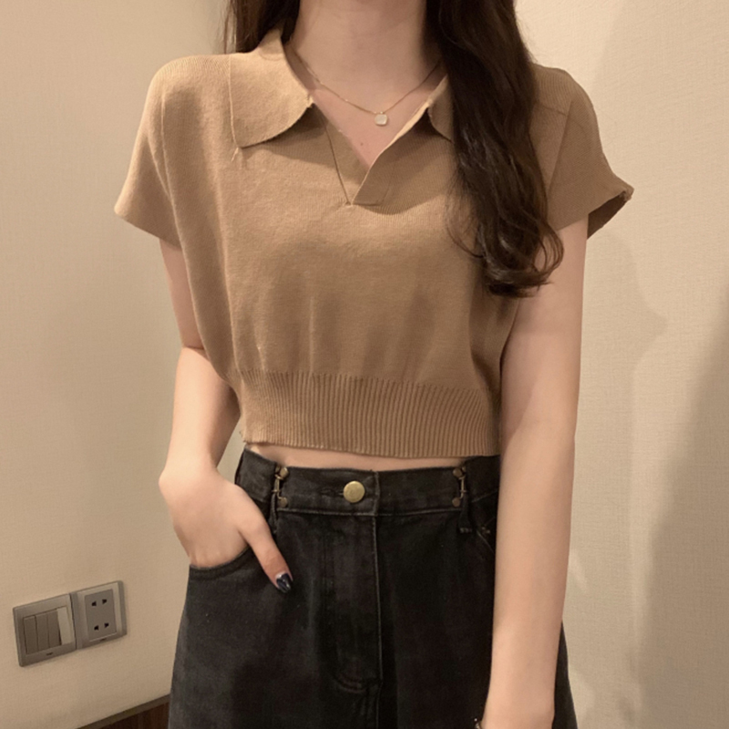 Summer ins Trendy Internet Celebrity High-Waisted Slimming Thin Ice Silk Knitted Short-Sleeved T-Shirt for Women, Unique Short Polo Collar Top