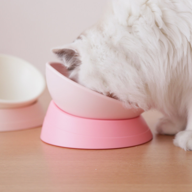 flat face cat bowl