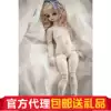 () (Spot) NB40-001 DollZone DZ Giant baby (Big fruit BJD)
