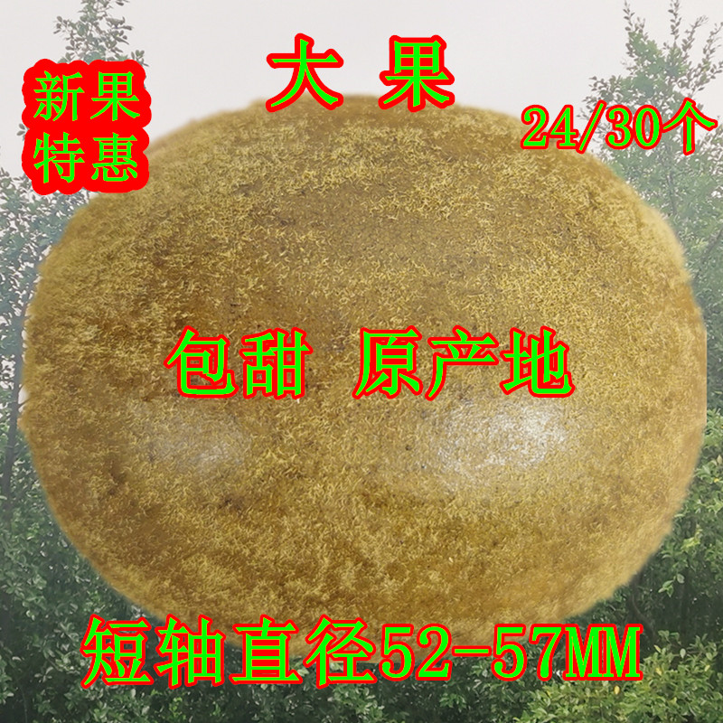 Grosvenori Big Fruit Guangxi Guilin Special production Yongfu Bulk cool tea moisturizing tea special class Short sleeves diameter 52-57mm