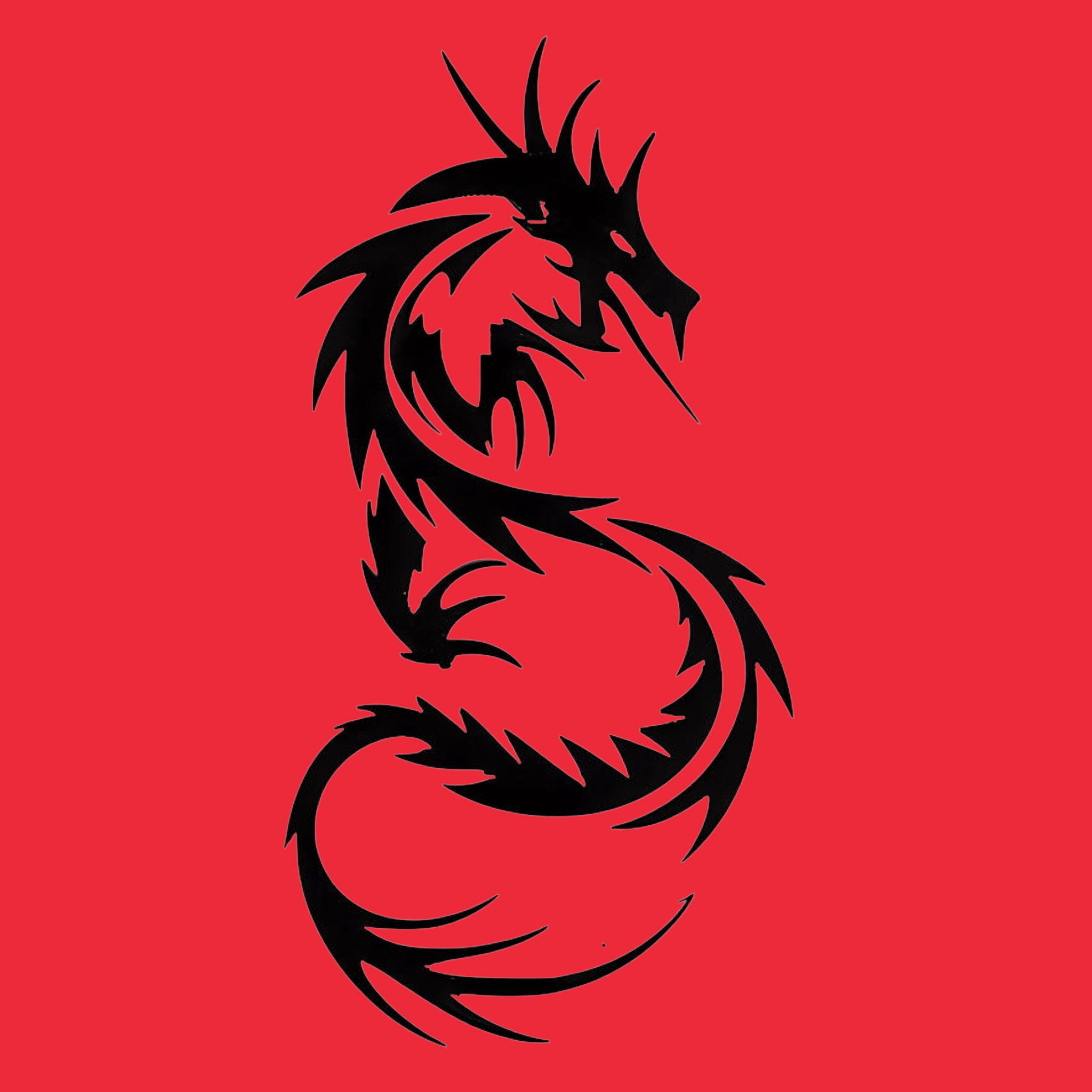 素禅戏珠