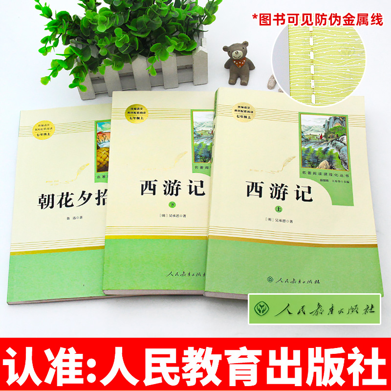 【正版书籍】汽轮发电机组转子及结构振动，工程师必备神器！