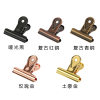 Creative water drop clip stationery metal stainless steel electroplated long tail clip dovetail clip file storage ticket clip office