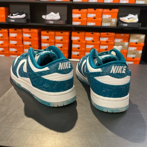 Cool City Nike Nike Dunk Low Women Sneakers Sports Casual Shoes dv3029-100
