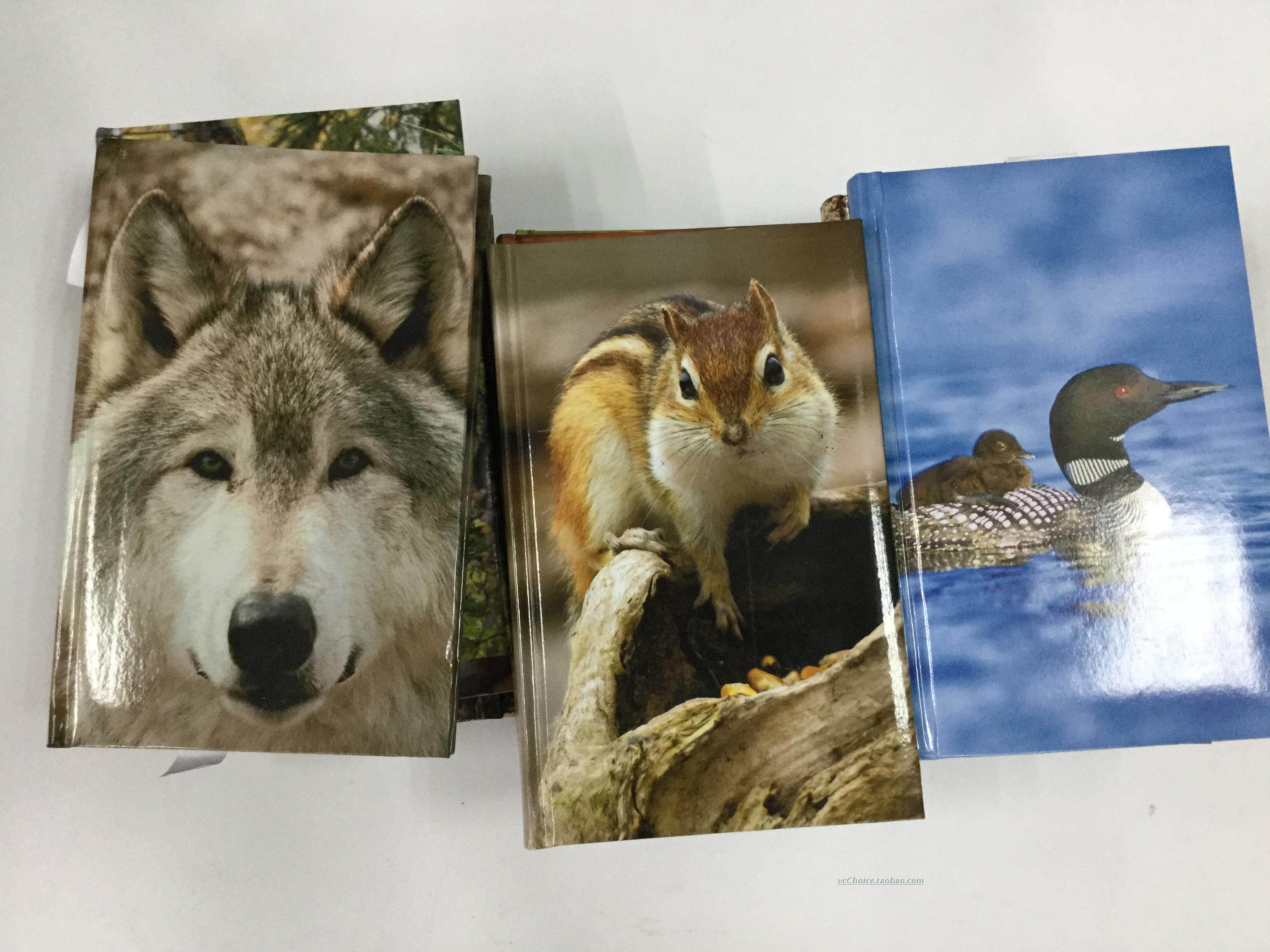 Nodin Press line journal American Brand Sponge Hardware Notepad