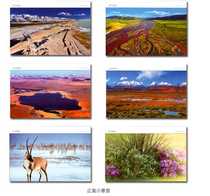 Fidelity Post Postcard TP40 Hoh Xil Special Postage Postcard 1 Set of 6 with Cover