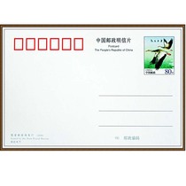 PP ordinary postage postcard (Cinda World) changed its value to 80 points single postal film brand new full product