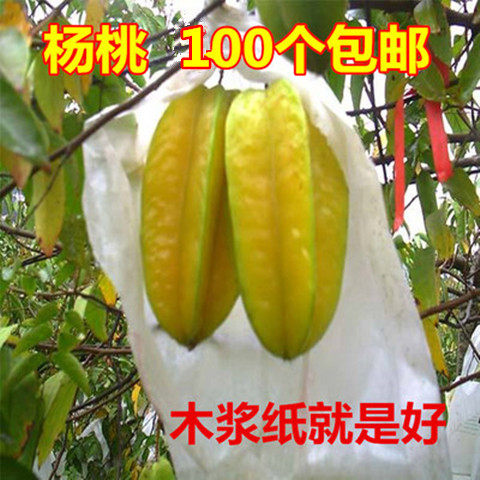 Yuanfeng carambola bagging bag special pomegranate fruit bag carambola foreign peach sheep peach lotus fog papaya Sakyamuni insect repellent