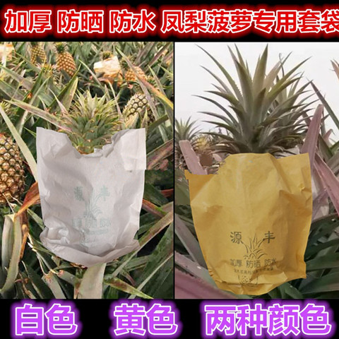 Pineapple thickened sun-proof pineapple pineapple bag pineapple fruit bag waterproof protection bag