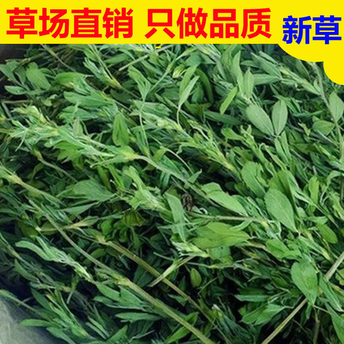 21-year-old new grass Alfalfa young rabbit hay rabbit food Chinchilla Dutch pig forage food Rabbit feed 1kg
