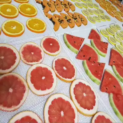 49 5 * 37cm silicone pad drying fruit tea pad fruit drying pad dryer pad high temperature drying pad fruit tea