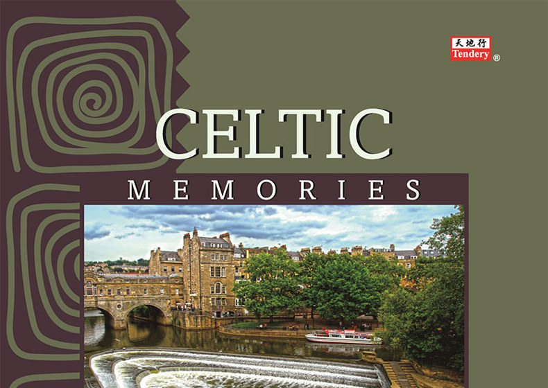 đầu đĩa than cũ	 Âm nhạc thế giới chính hãng Celtic ấn tượng 1 nhạc nhẹ lp vinyl ghi âm đĩa chuyên dụng 12 inch - Máy hát mâm đĩa than audio technica