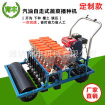 Supply cabbage fine planter gasoline vegetable planter to produce customized vegetable seeding machine