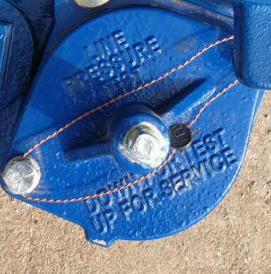 American Franklin Blue Jacket STP150 0 75P Submersible Oil Pump Motor PMA150B Backstop Valve Gland