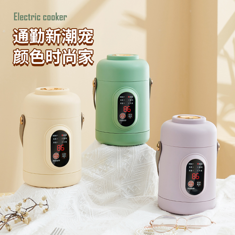 110V Portable Mini Electric Cooker for Overseas Use in the Us, Japan, and Canada, Suitable for Cooking Instant Noodles, Porridge, and Soup