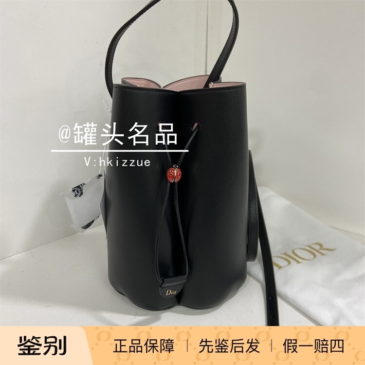 Famous Brand Dior/Dior Women's New Fashion Mini Bucket Bag S2900Onwr