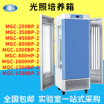 MGC-100P for the simulation of the microbial box with the plant incubator environment in the laboratory of a constant light culture box in Shanghai